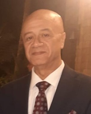 المهندس / ماجد كمال الدين